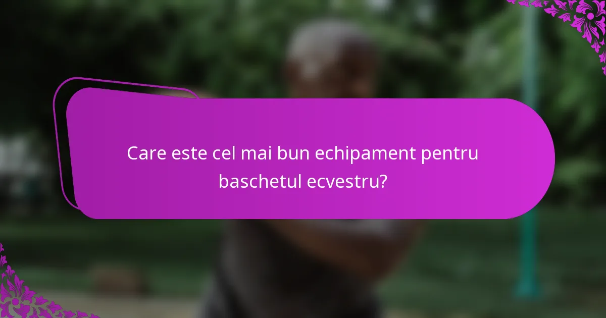Care este cel mai bun echipament pentru baschetul ecvestru?