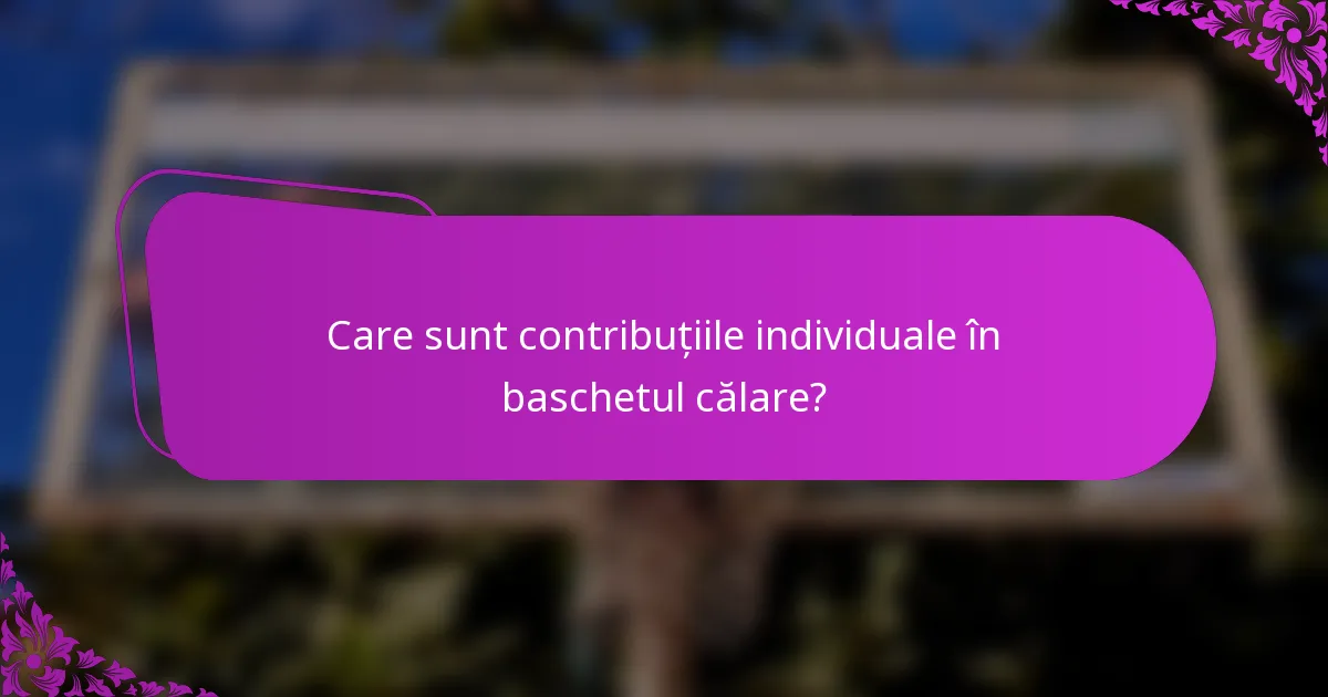 Care sunt contribuțiile individuale în baschetul călare?