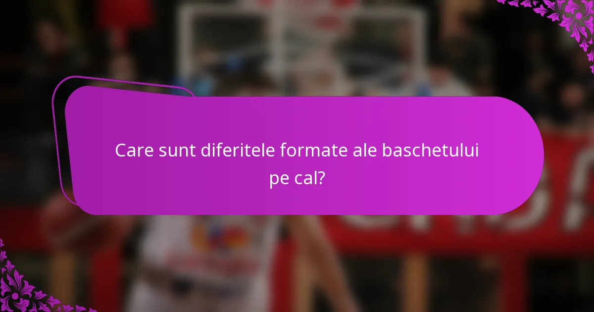 Care sunt diferitele formate ale baschetului pe cal?