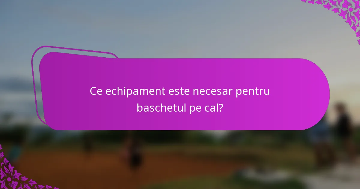 Ce echipament este necesar pentru baschetul pe cal?